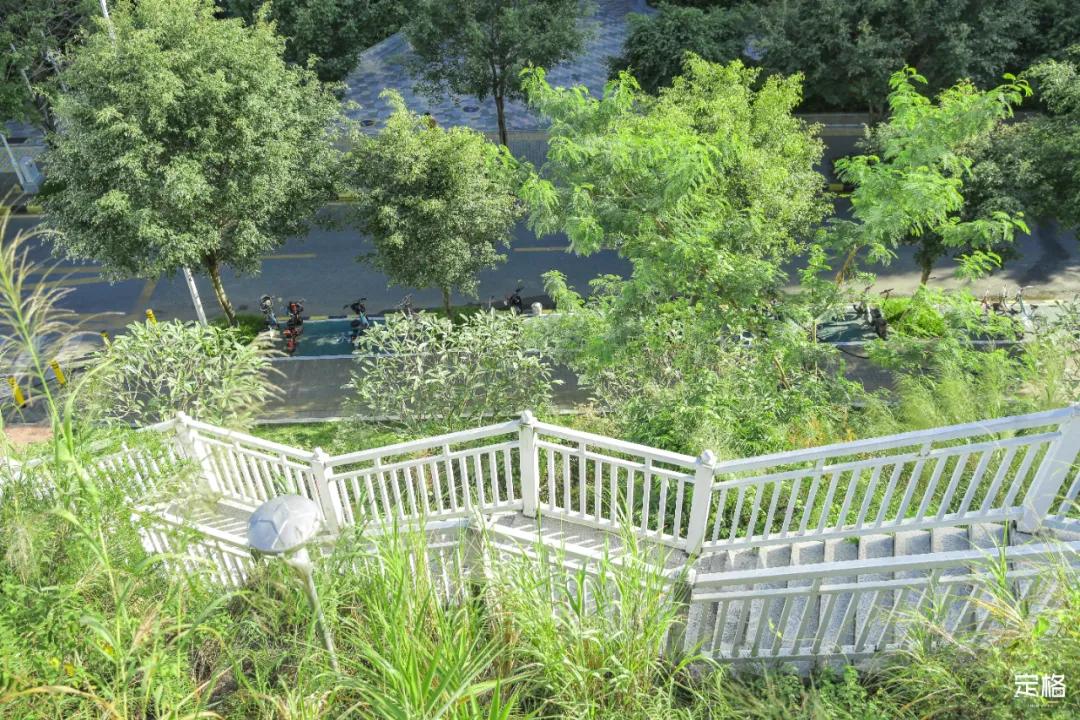 深圳百米长「纯白登山梯」，打卡绝了