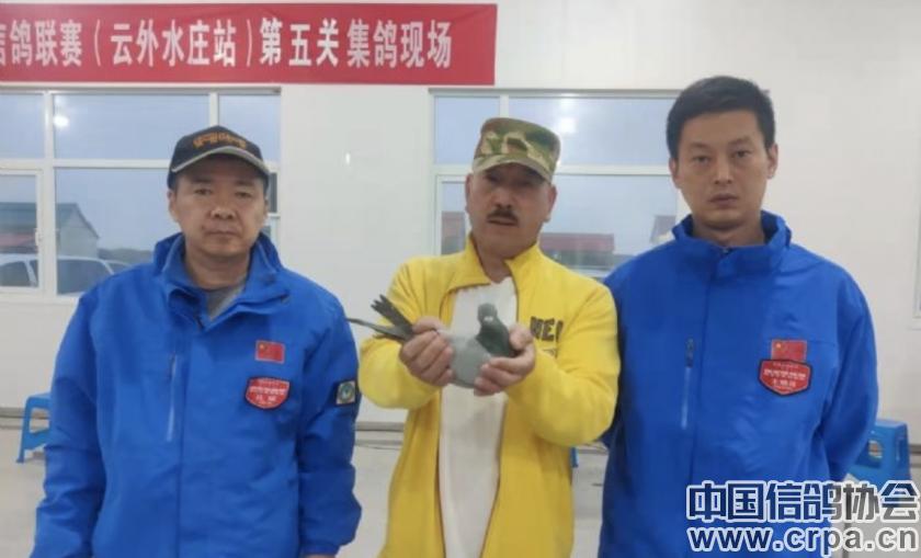 世界杯总决赛7-1,世界杯总决赛后半场回放