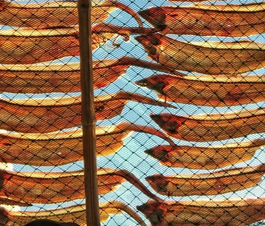 宁波一座令我难忘的城市,怀念宁波的那段日子