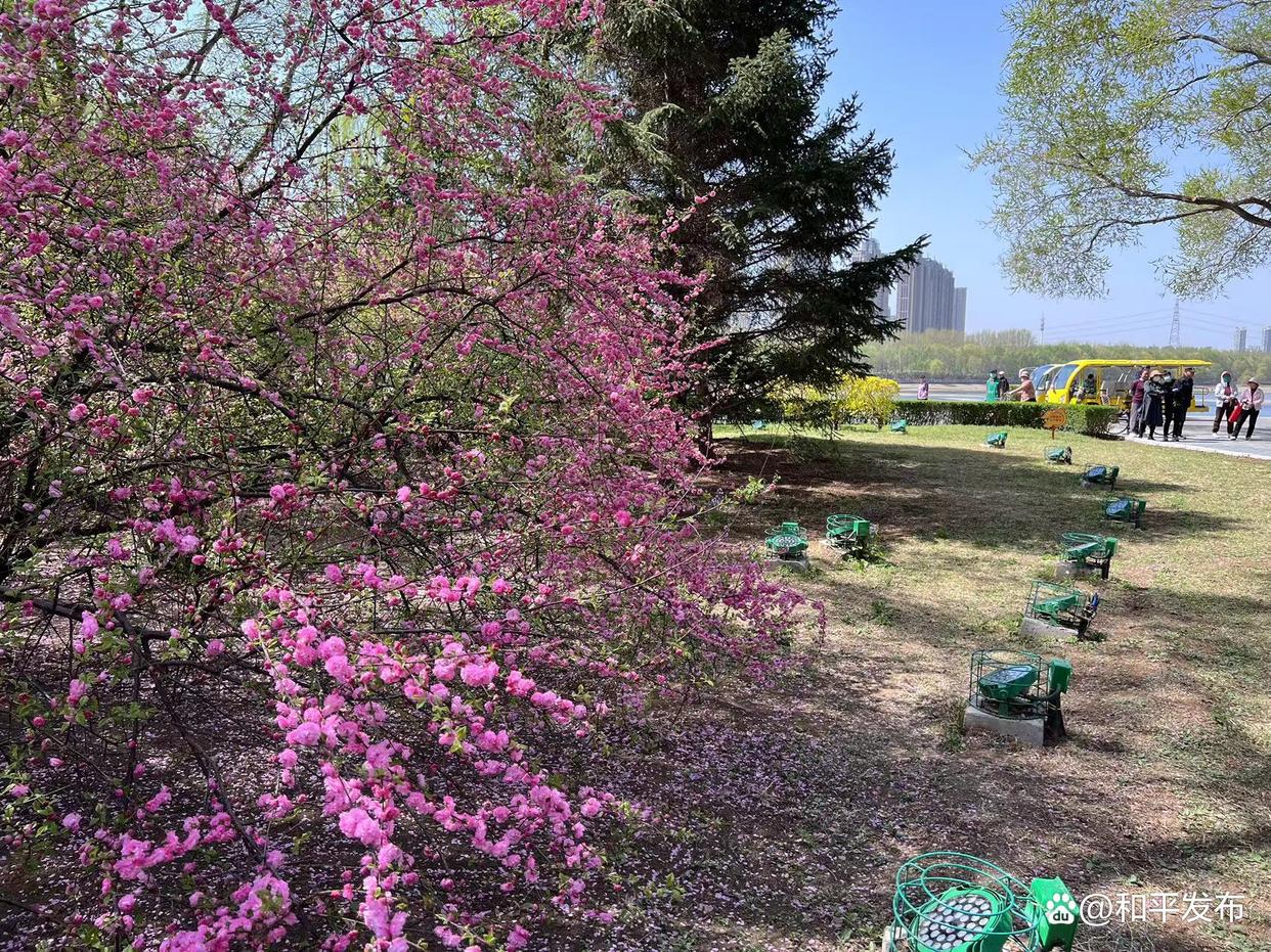 21个消费场景覆盖全时全域全龄和平区重磅推出“五一”文商旅融合盛宴