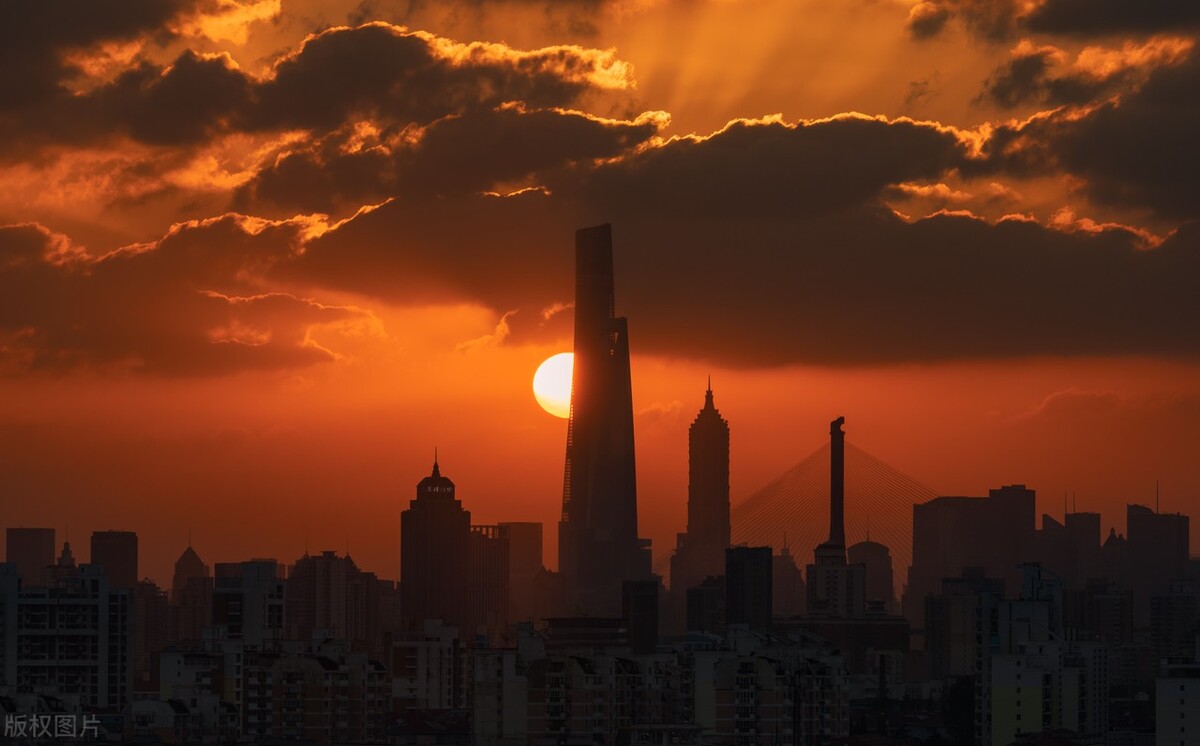 影视ip游戏,影视化ip图书