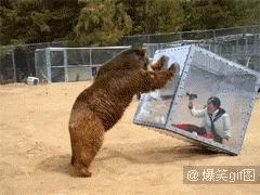 沙雕冷笑话精选十则解析,历史沙雕冷笑话大全