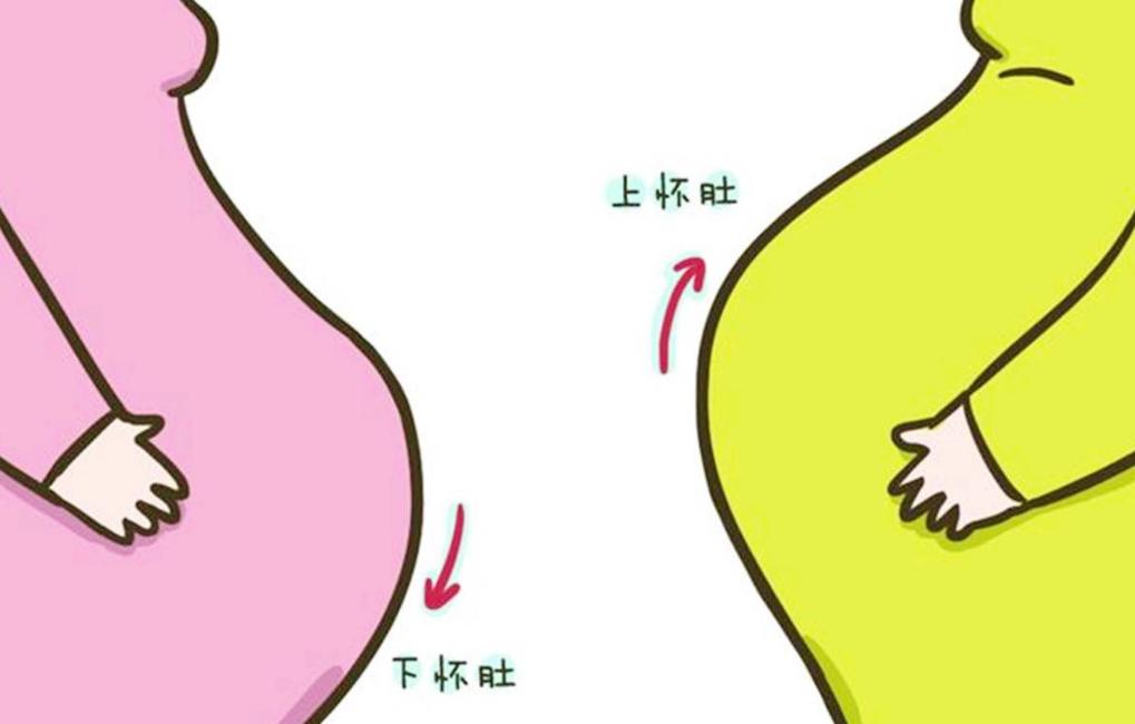 孕妈上怀与下怀有什么区别,孕妈上怀下怀