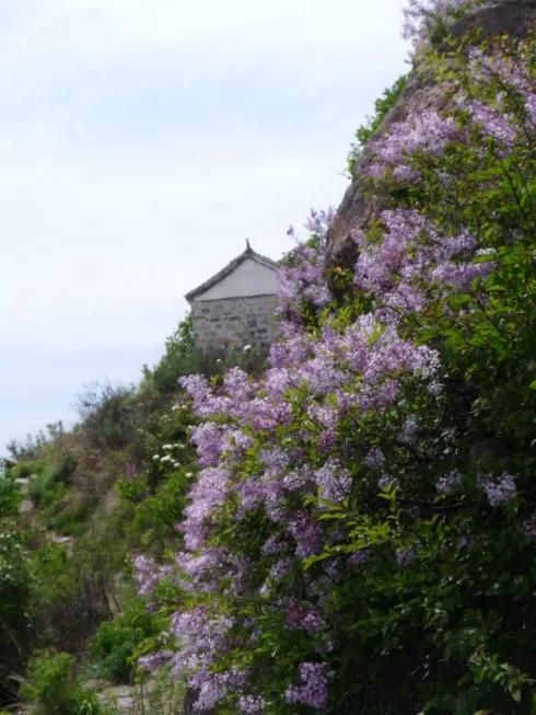 目前云南昭通有多少作家,昭通十大作家