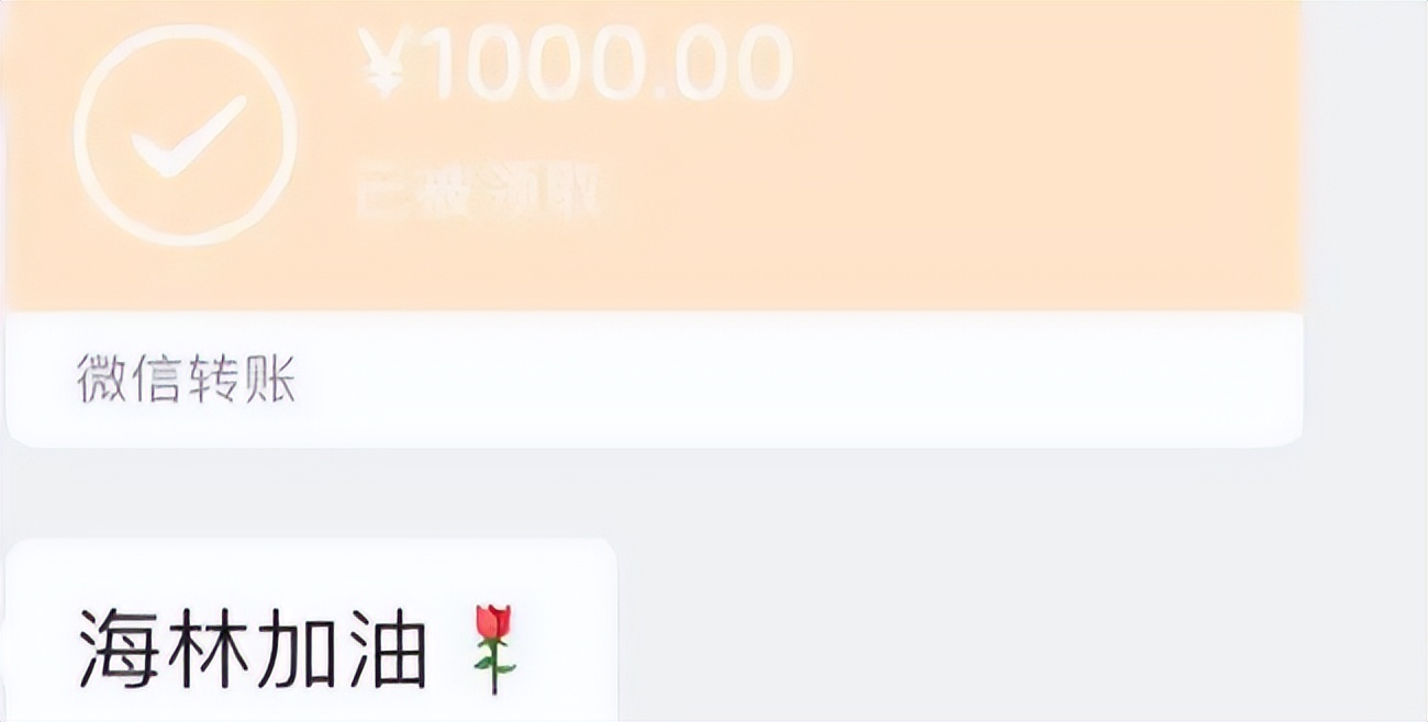 河南女子借钱向亲戚一分没借到,河南一女孩发朋友圈借钱