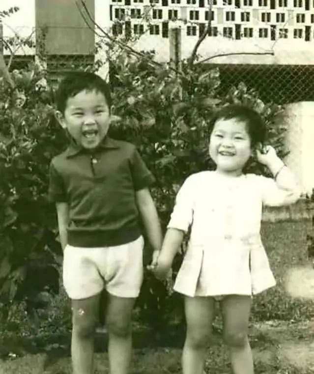 56岁陈法蓉近况曝光，两次被指插足，恋爱被骗2.8亿元，差点抑郁自杀：别劝我结婚！