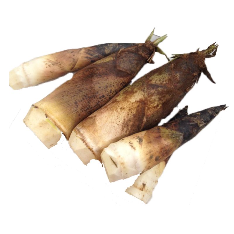 谷医堂的脂玫乐对减肥真的有用吗,谷医堂脂玫乐减肥正规么