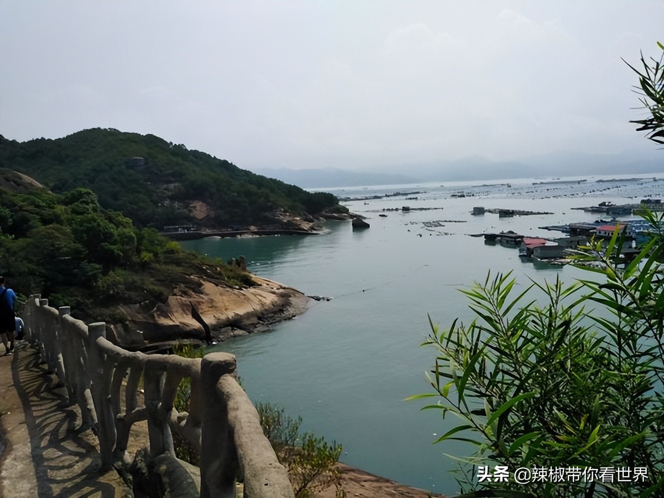 宁德大黄鱼之乡攻略,霞浦大黄鱼之乡图片