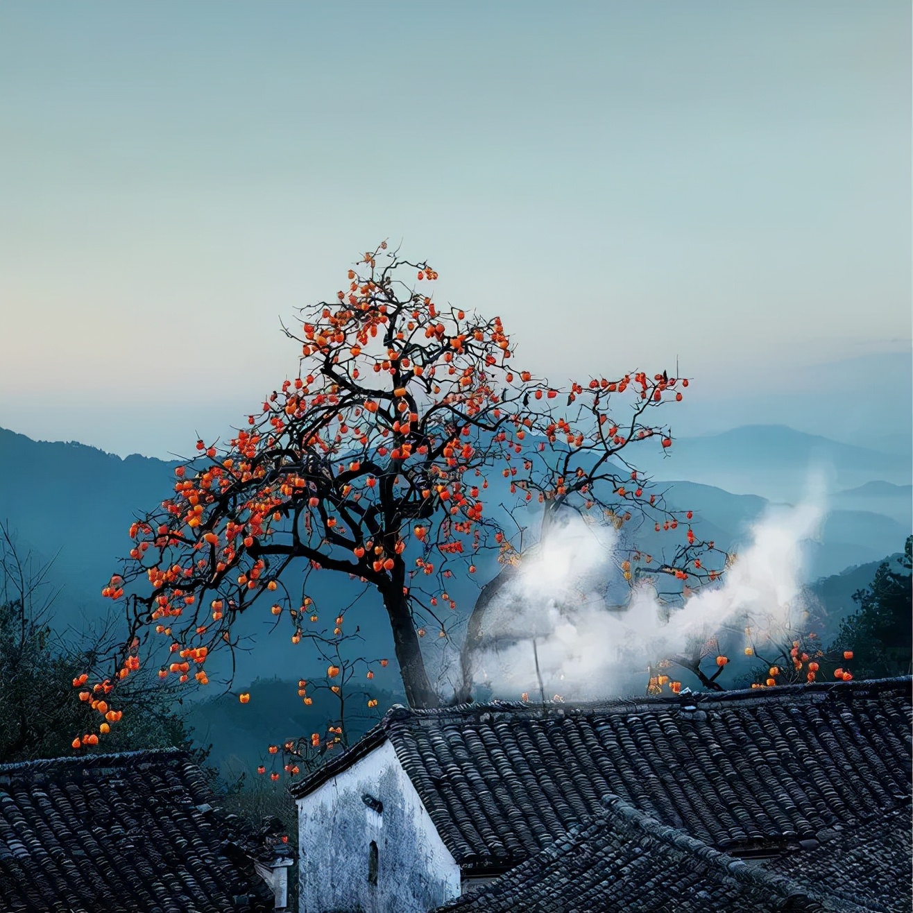 山水中国影视,山水中国美术