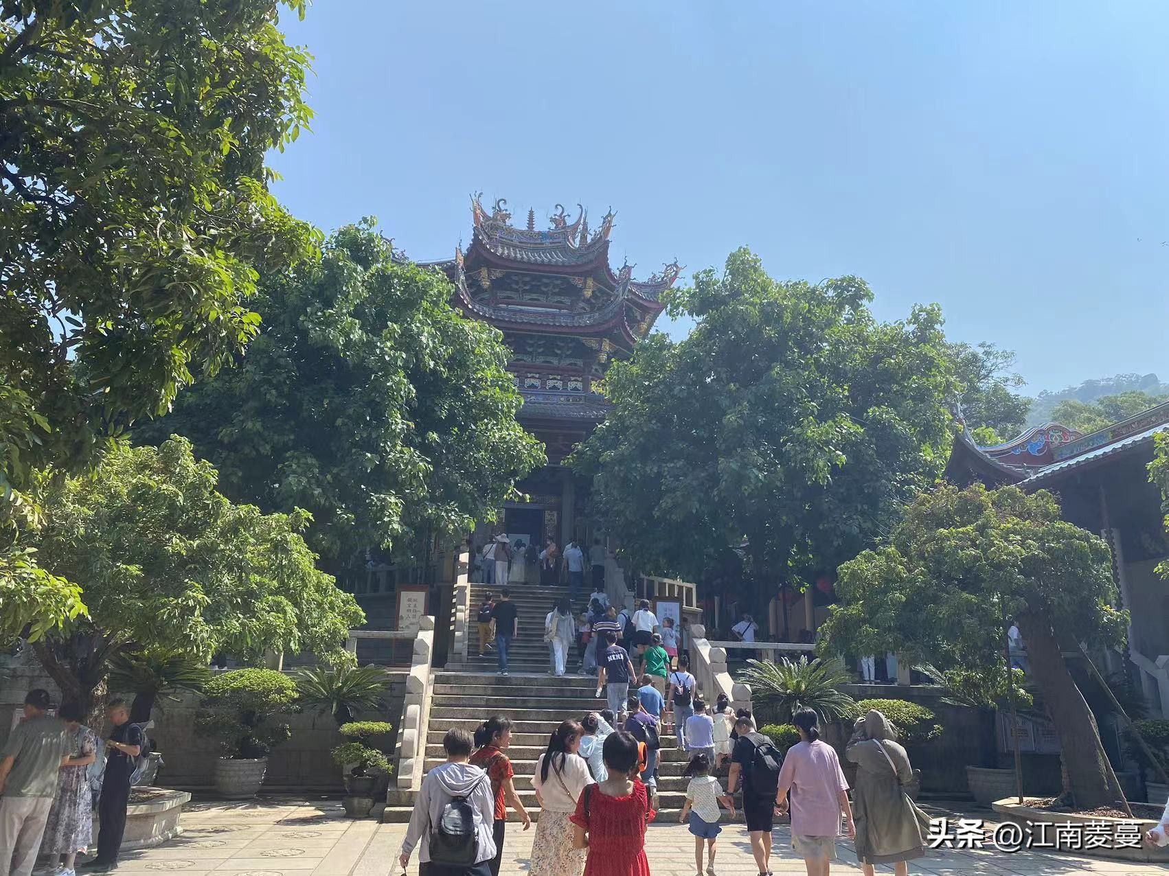 为什么那么多人选择去厦门旅游,浙江海岛和厦门哪里值得去