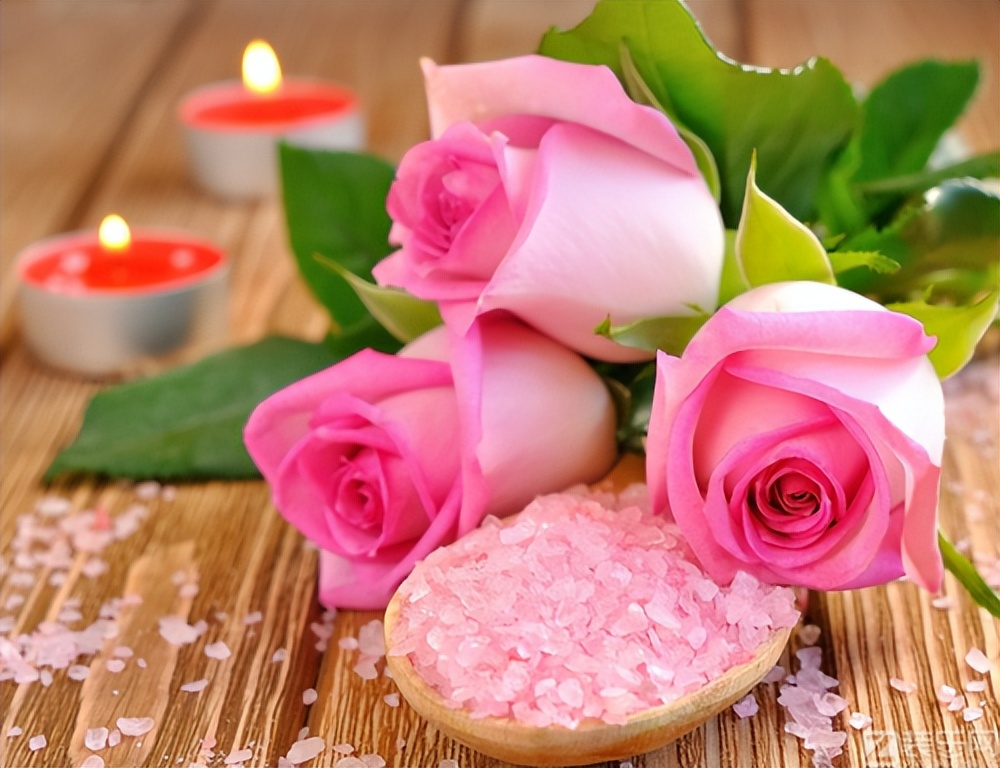 送朋友情人节花语大全,红色康乃馨情人节花语