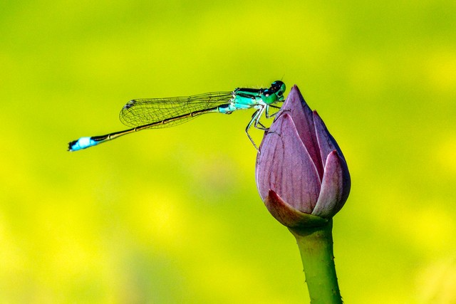 郑州王教授承认不轨之事，高知为什么不能洁身自好？