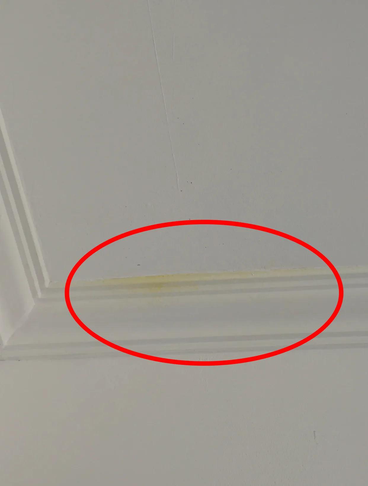 石膏线为什么不流行了,石膏线现在真的没人用了吗