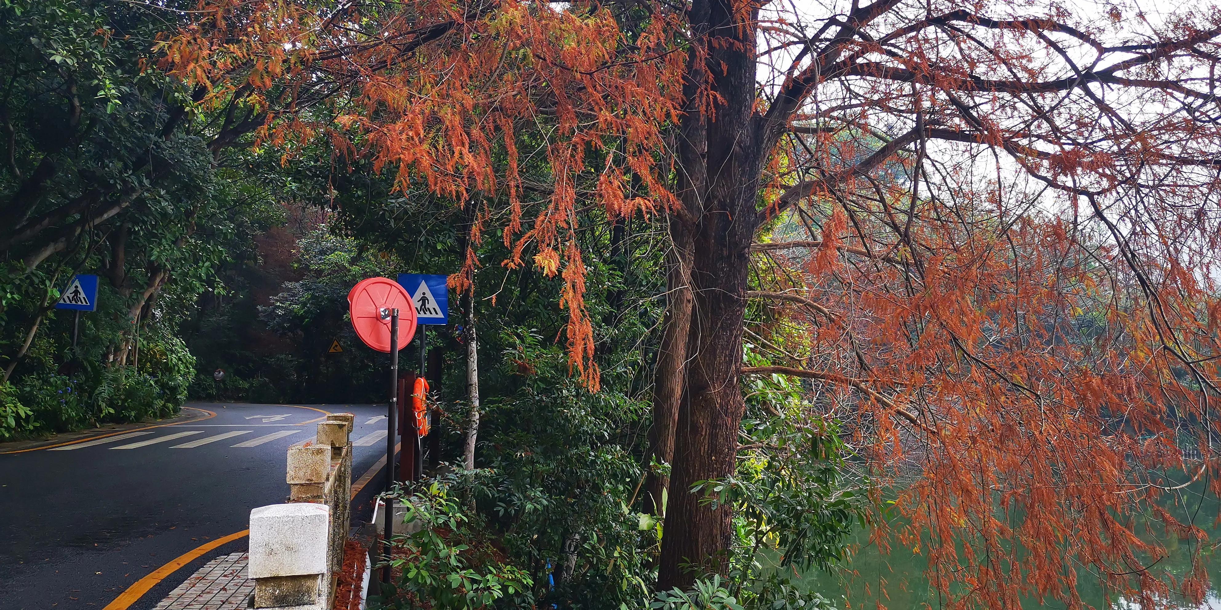 深圳美丽的小镇排名,美丽的小镇清溪