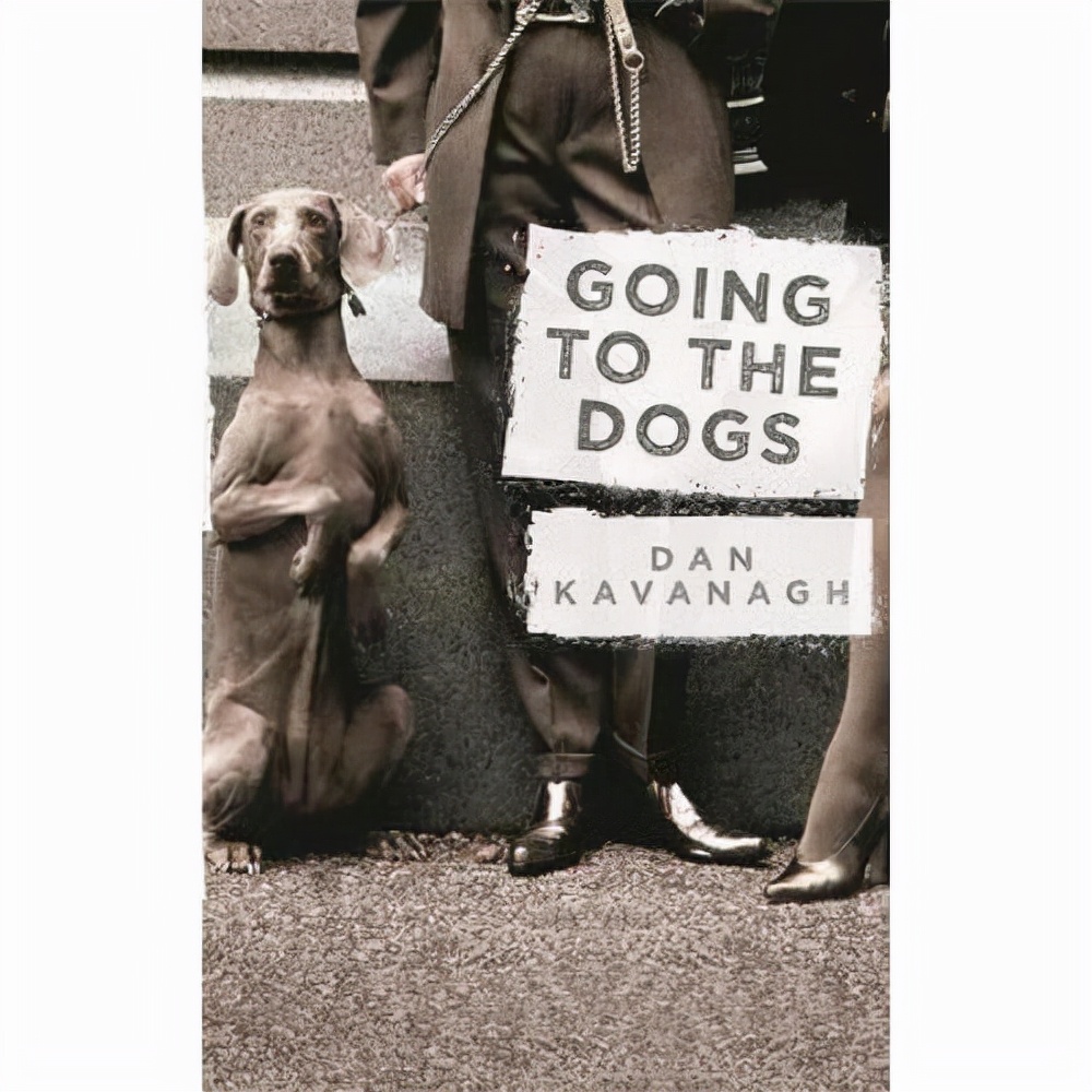 狗狗的英文短文,狗狗的英语口诀