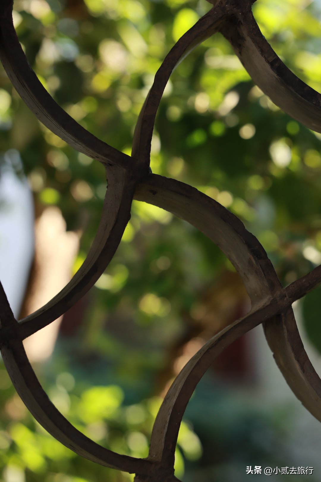 南京瞻园汉服摄影,南京瞻园园林山水布局