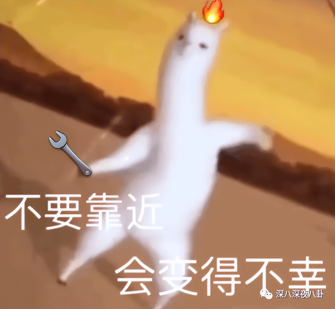 王子腾人物评价,王子腾是男的还是女的