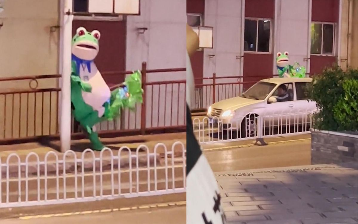 卖崽青蛙赚不赚钱,卖崽青蛙原创