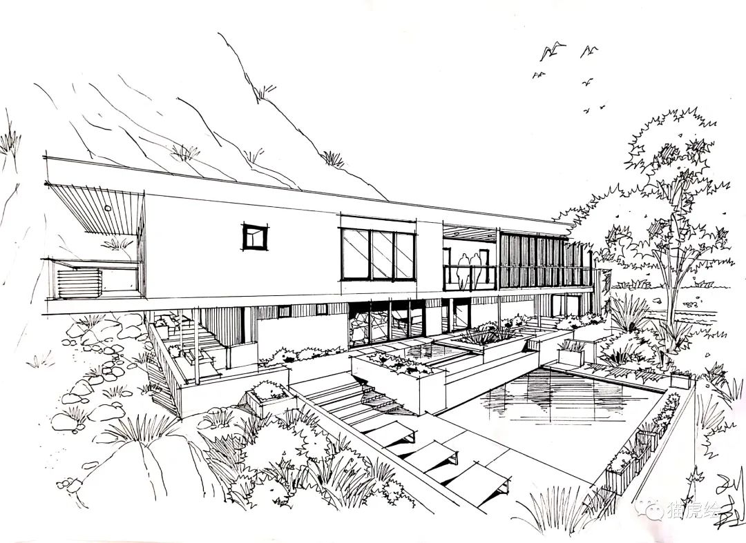 2022猫虎绘暑假手绘班招生简章「线上+线下」