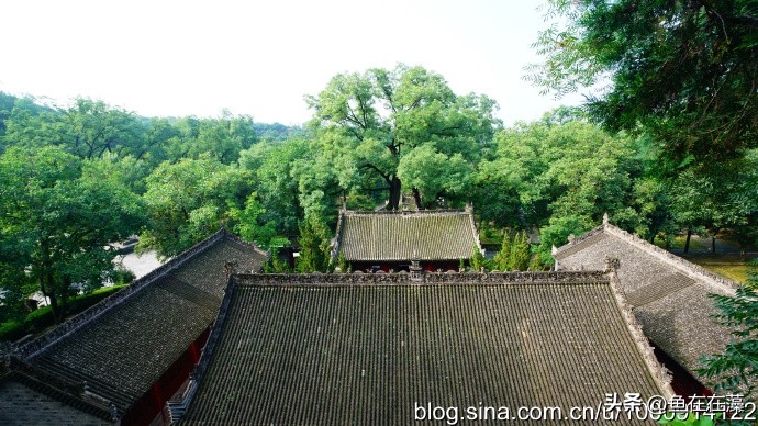 65)战疫·陕：岐山县太平寺塔、周公庙