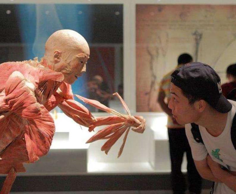 人体遗体捐献做标本有没有补偿,遗体捐献给医学院做标本能用多久