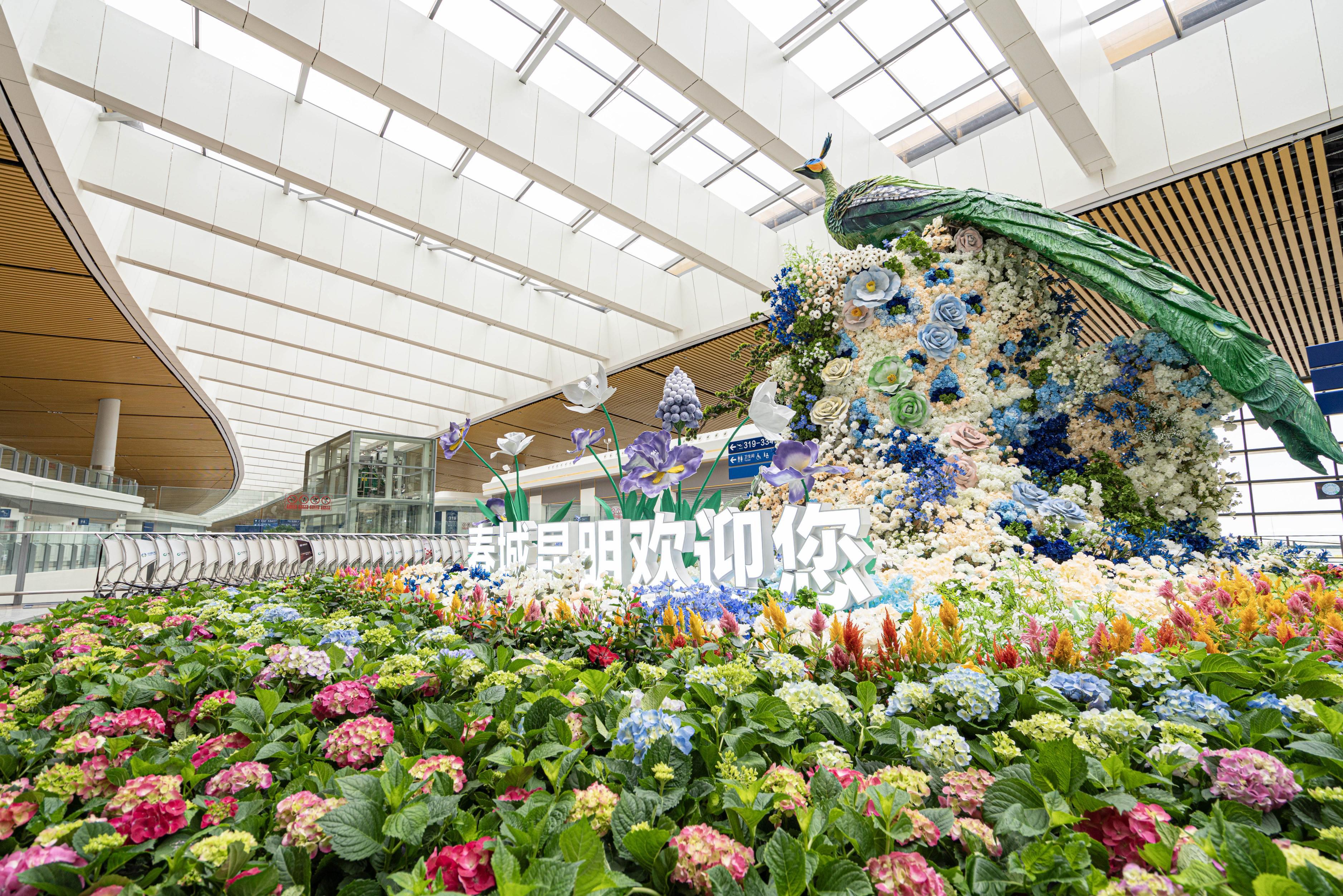 昆明长水机场2024年夏秋航季,昆明长水机场东方航空航线图