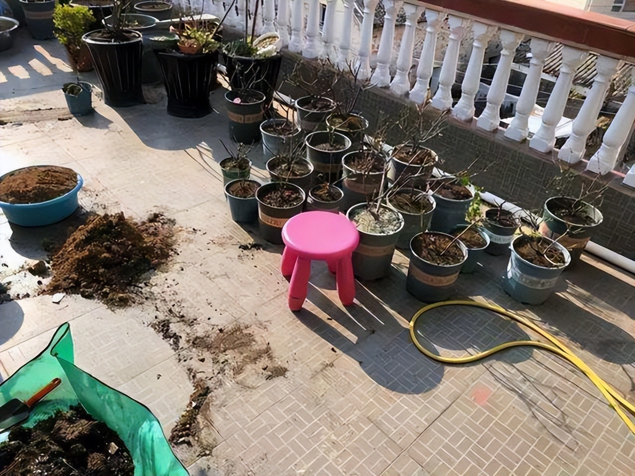 养花换掉的土,养花换下来的旧土用什么药杀菌好