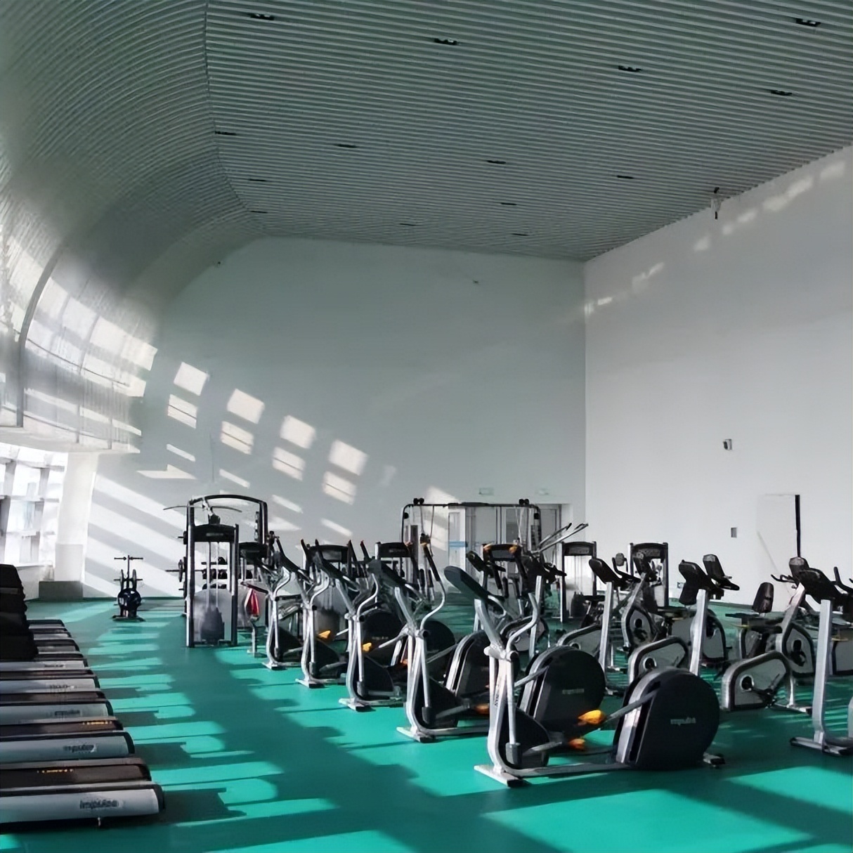 东营奥体中心游泳馆收费标准,东营奥体中心最新动态