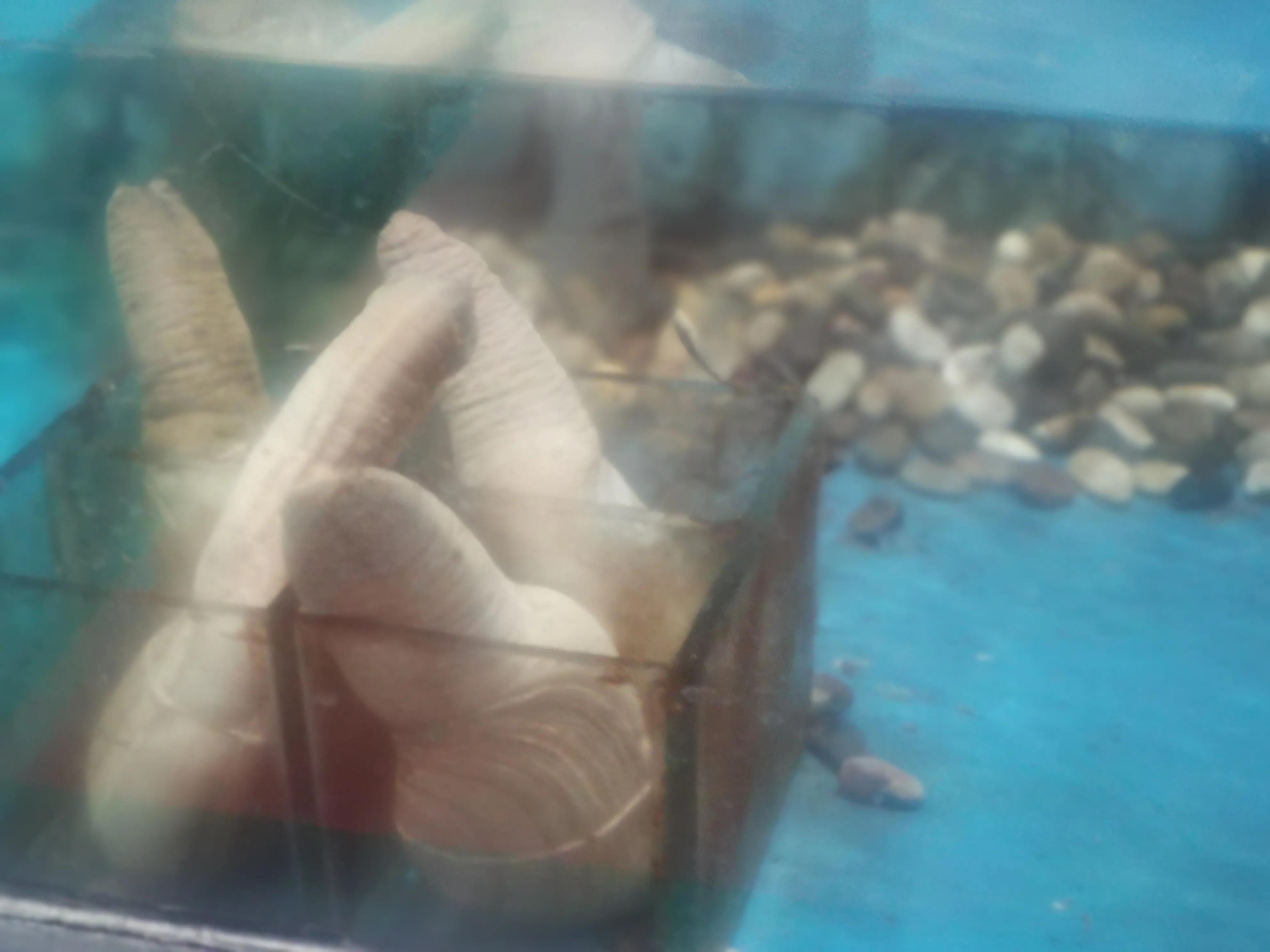 东营蓝海饭店特色菜,东营蓝海国际大饭店套餐