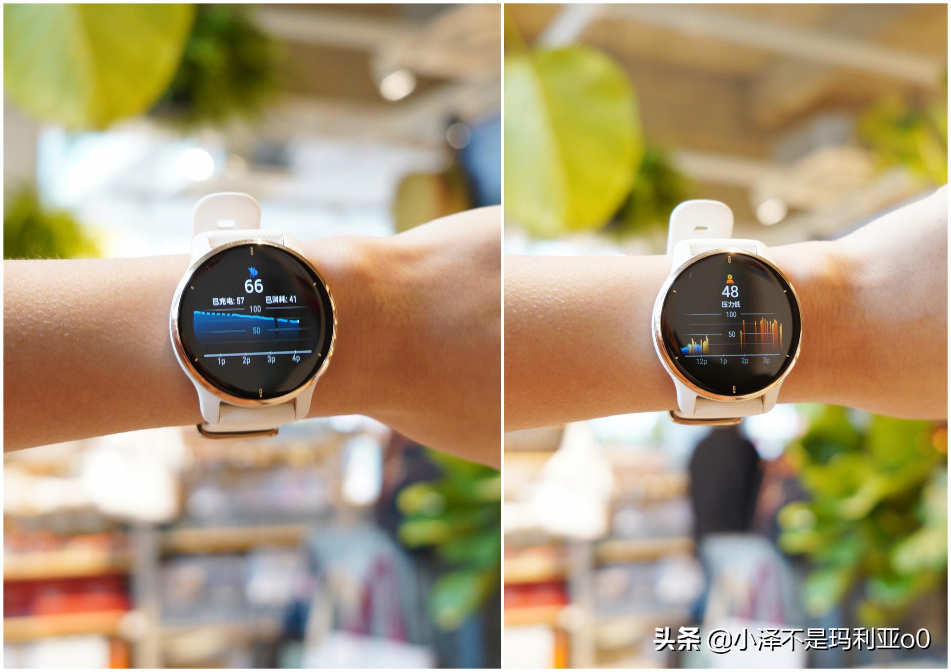 佳明venu2plus和苹果watch8怎么选 (买佳明5还是买applewatch2)