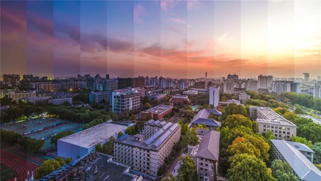 北京林业大学王牌专业就业,北京林业大学顶尖学科