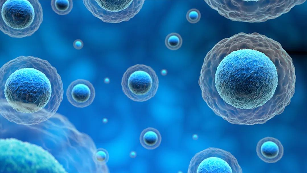 凌霄花可治癌,凌霄花可以治疗癌症吗