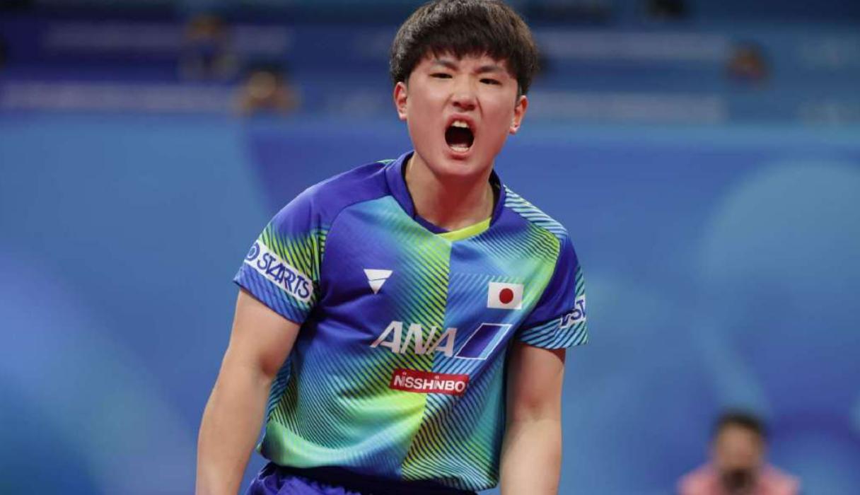 张本智和爆冷0-3惨败出局,张本智和爆冷出局完整版