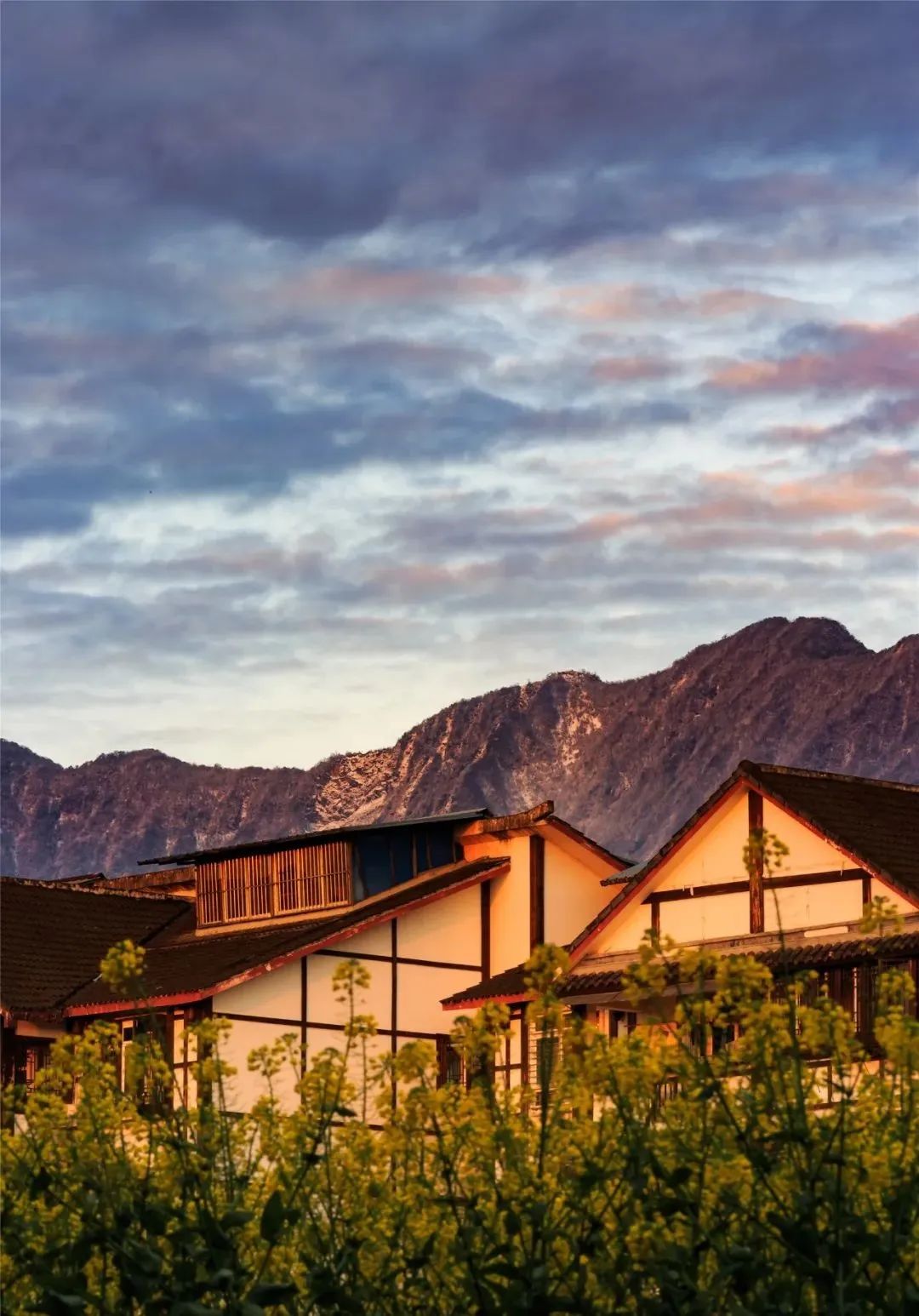 晴空雪山,雨过天晴的都江堰又见雪山