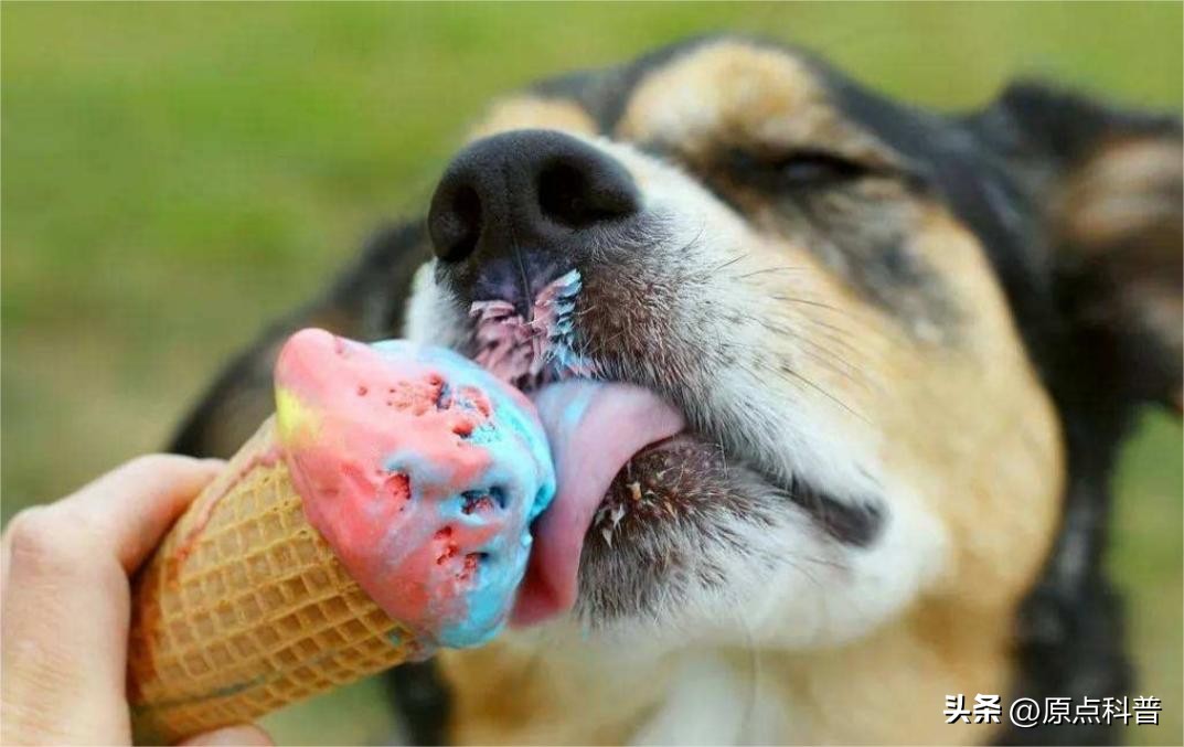 添加剂最多的十大零食，你还在给孩子买吗？