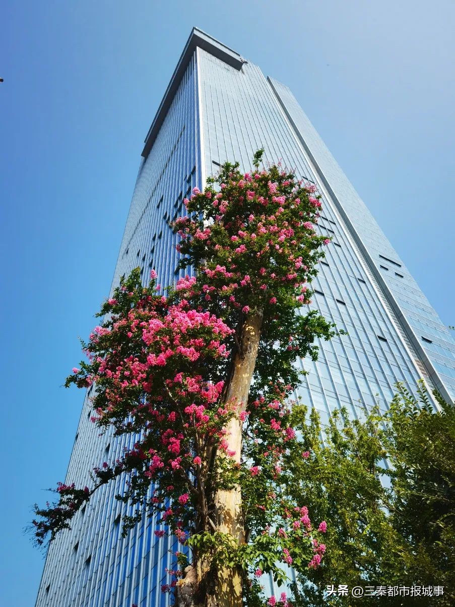 宝鸡性价比高的酒店推荐,宝鸡性价比好的酒店