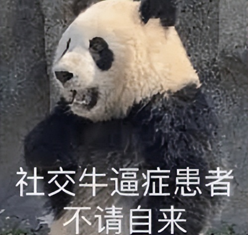 从小白到面霸主讲人是谁,从小白到面霸