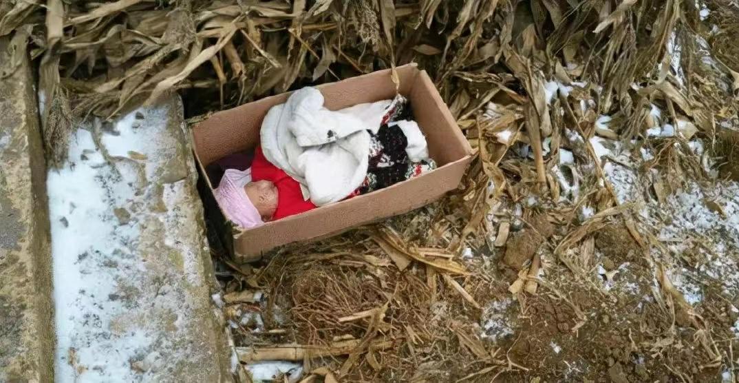 养父扛24年煤气罐养出女博士全集,养父扛煤气罐培养女博士的原视频