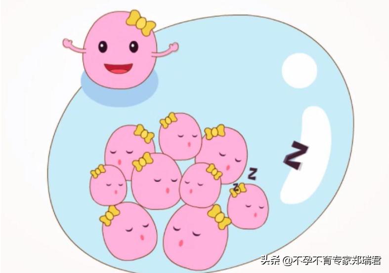 卵泡发育不良不排卵激素检查正常,卵巢功能下降卵泡发育不良怎么办