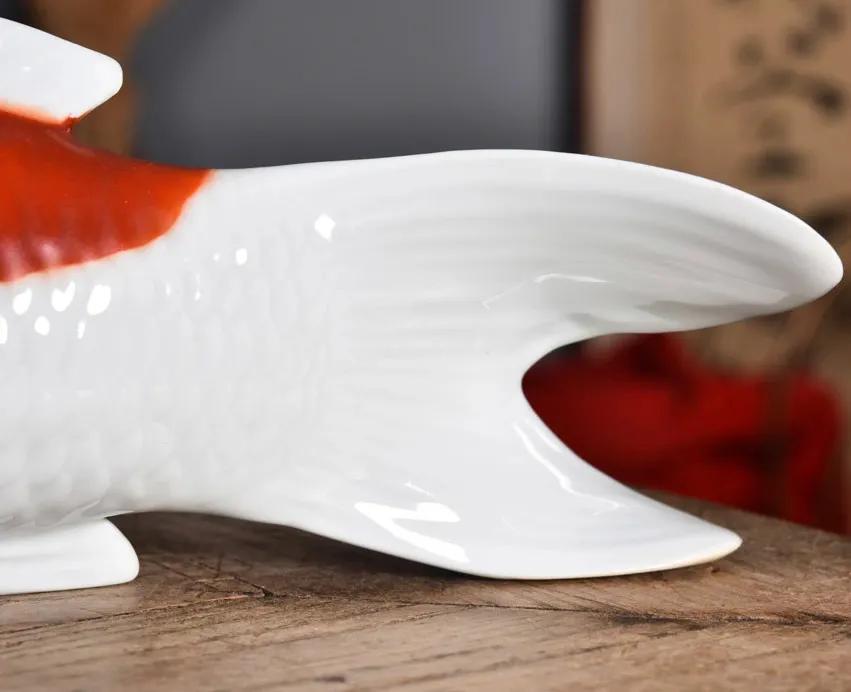 从日本过来的鱼,从日本进口锦鲤