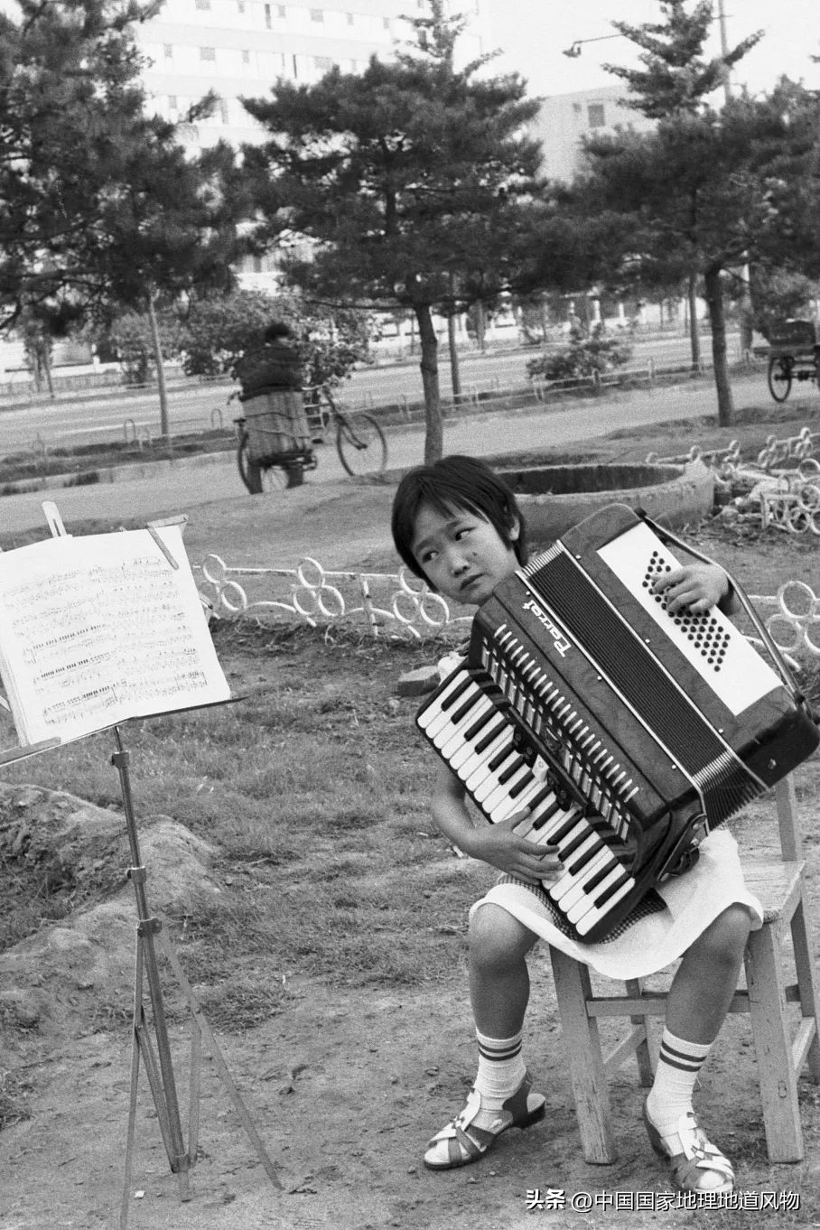 东北最好的城市,中国最洋气的五大城市
