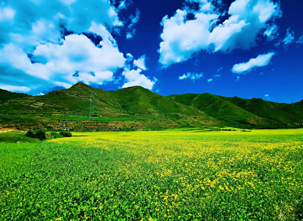 河南“贪虎”张海钦，为生儿子包3个*妇情**，其中一对姐妹