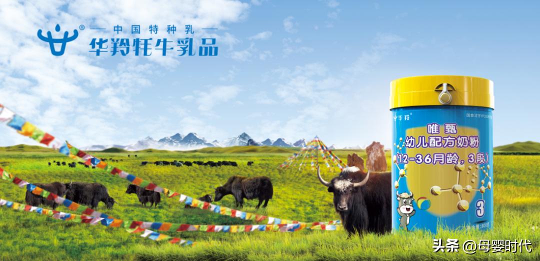华羚牦牛配方奶粉好处,华羚牦牛奶粉的卖点
