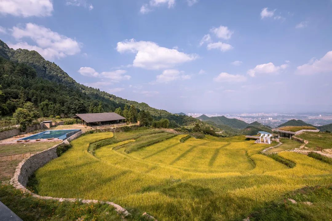 乡村振兴谋划不全不细典型案例,国内外乡村振兴典型代表及案例