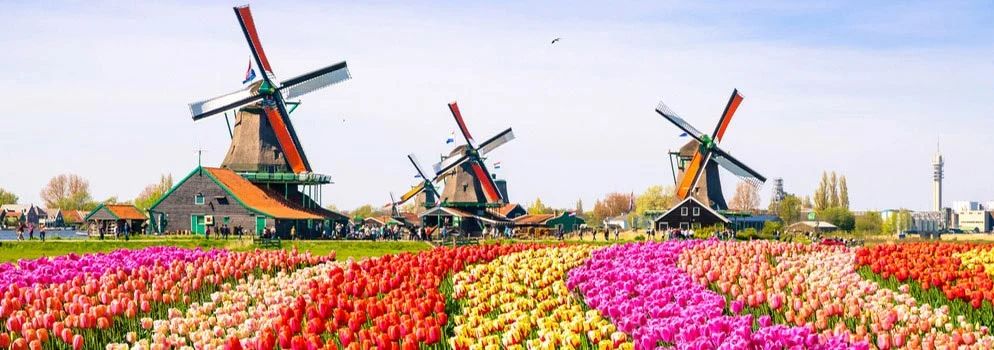 考研失利？还可以入读荷兰TOP名校-阿姆斯特丹大学