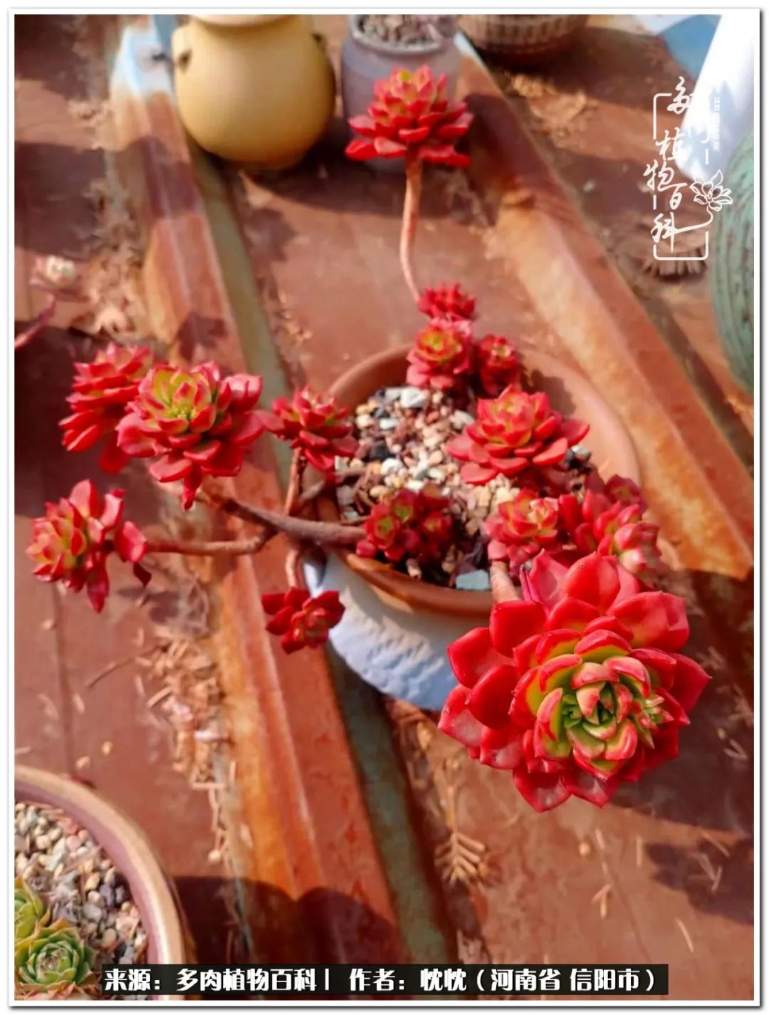 携一人白首择一城终老心之向往,携一人之手择一城终老图片