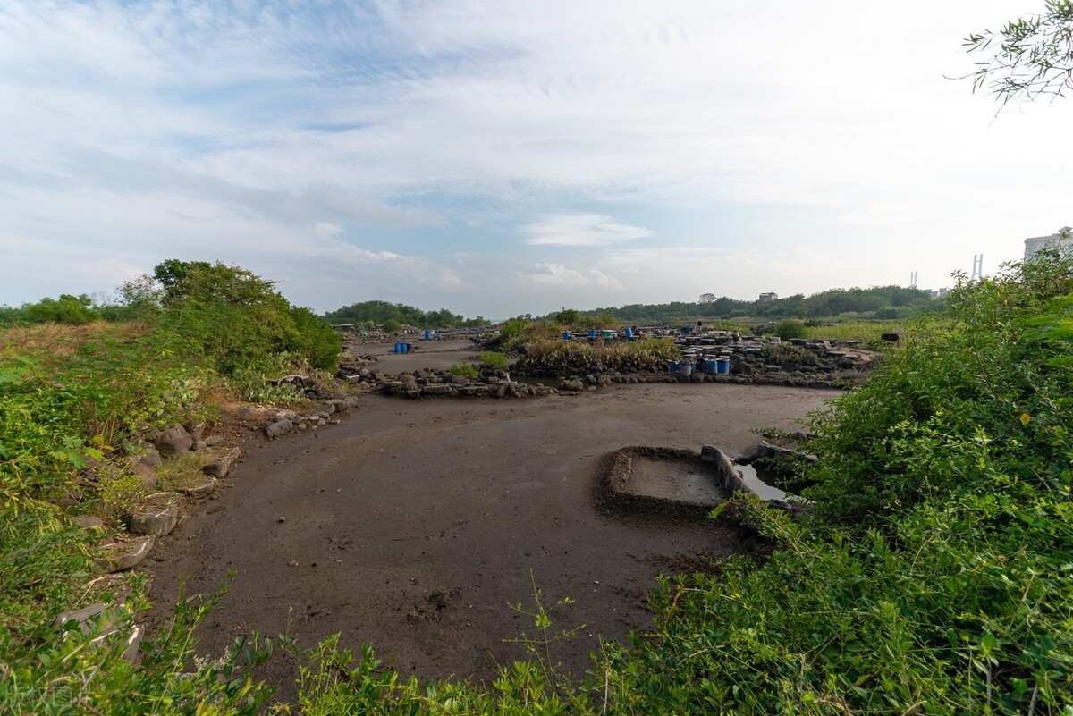 海南儋州可以避寒吗,海南省儋州和老城相比哪个更好