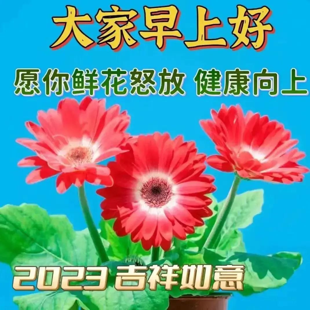 庚子日柱2023年癸卯年运势,癸卯年2023年哪个月出生最好
