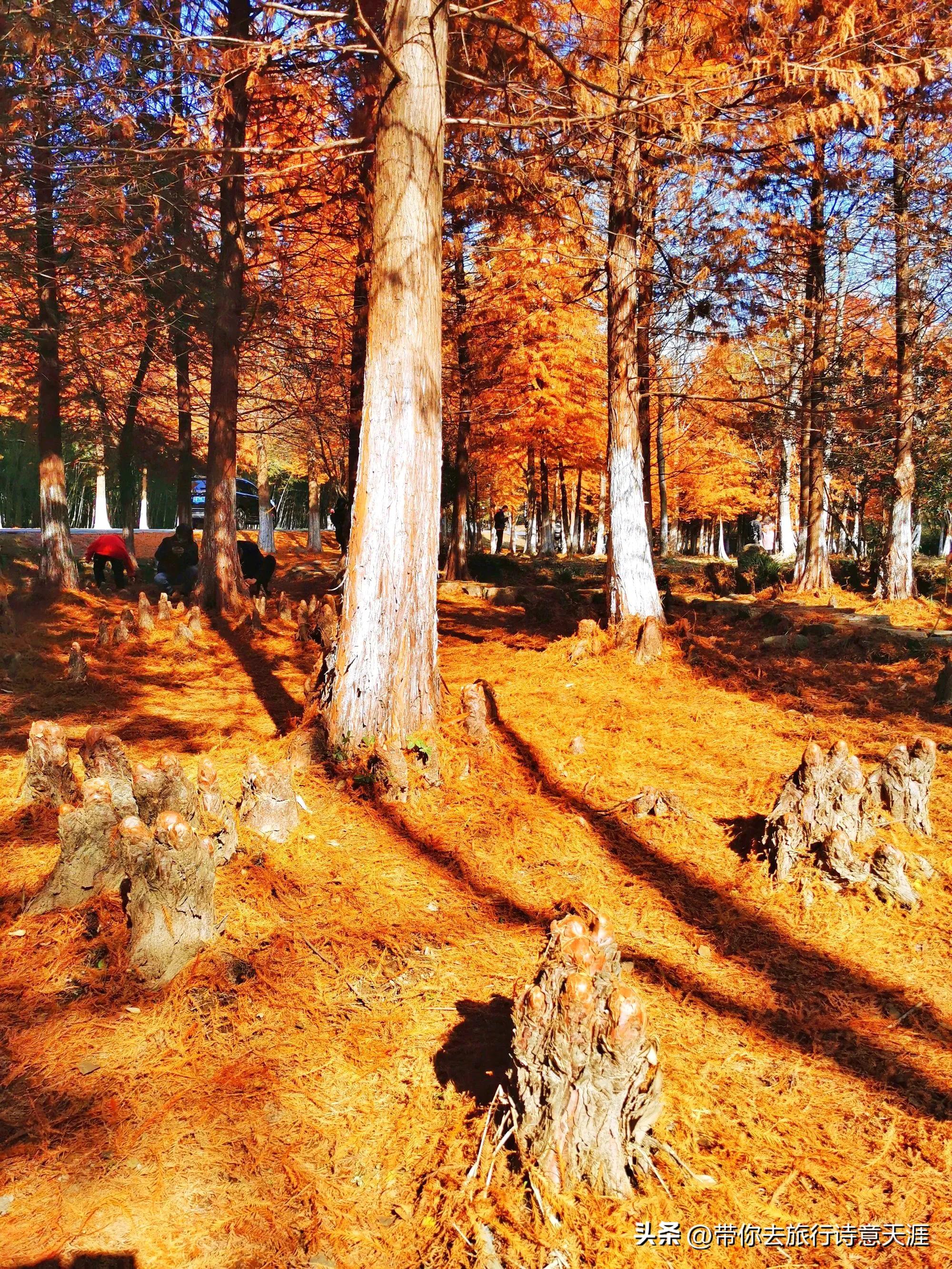 南京小众旅游景点攻略,南京小众景点古村落