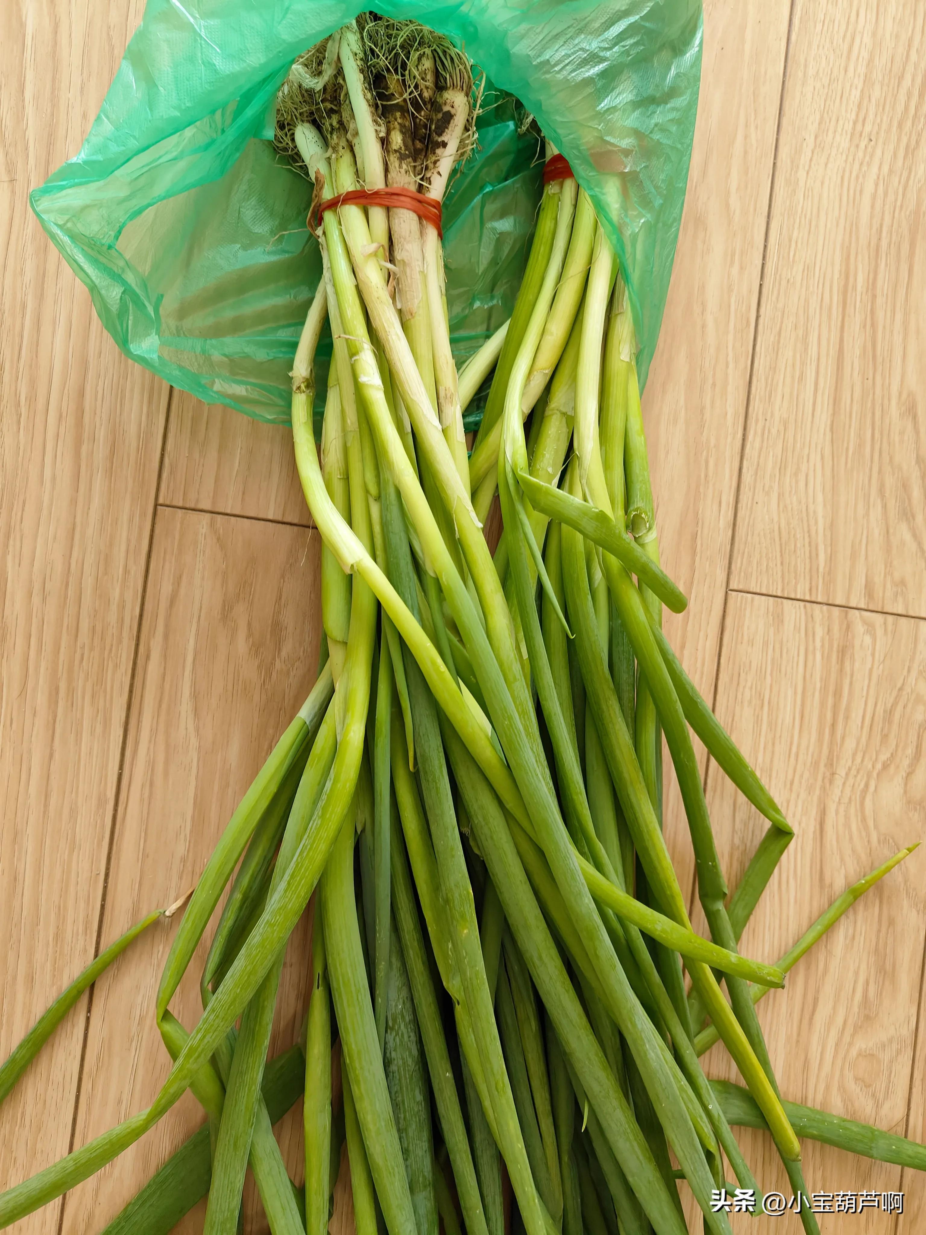 早市蔬菜怎么买最便宜,长春市哪个早市的菜最便宜